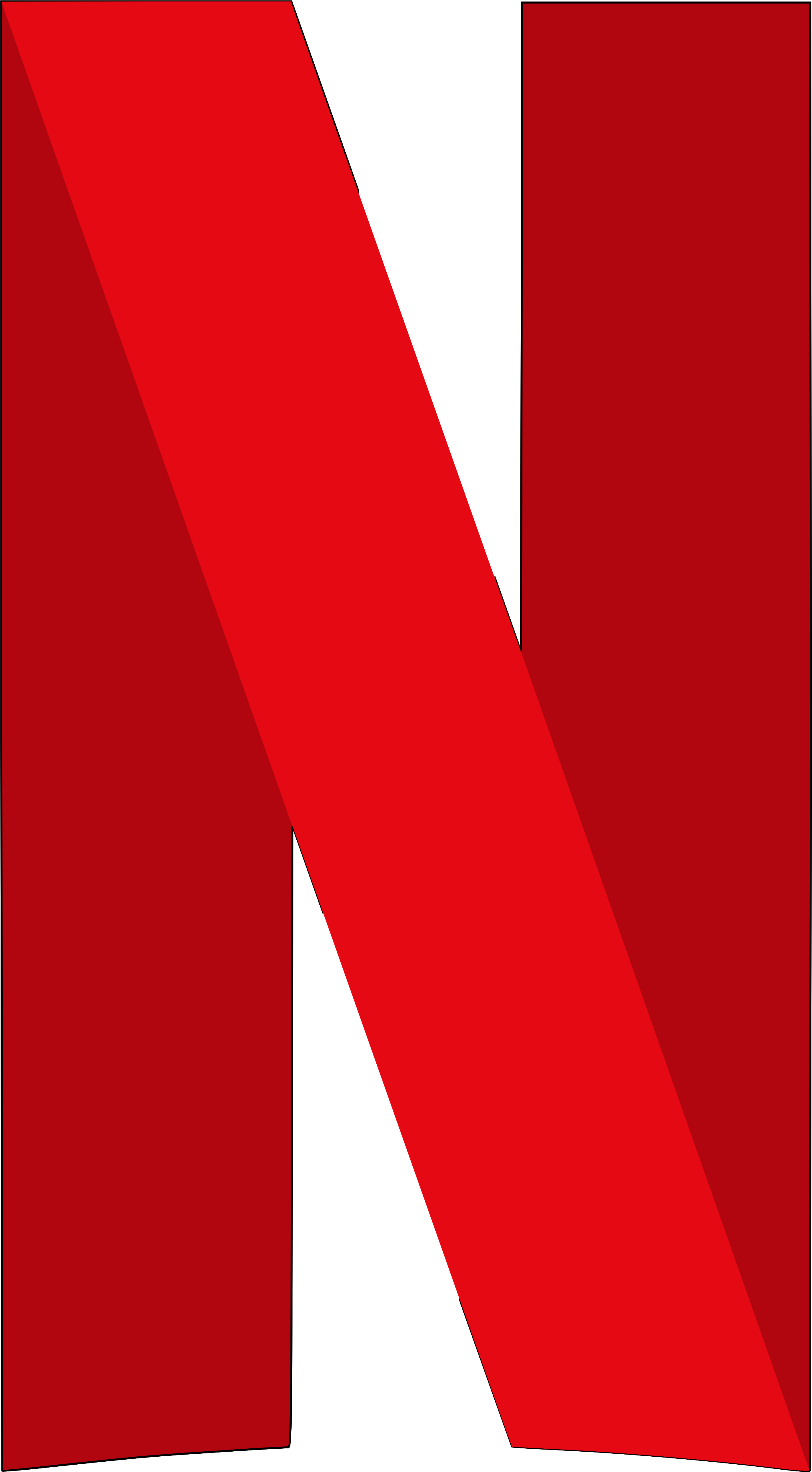 Netflix Icon